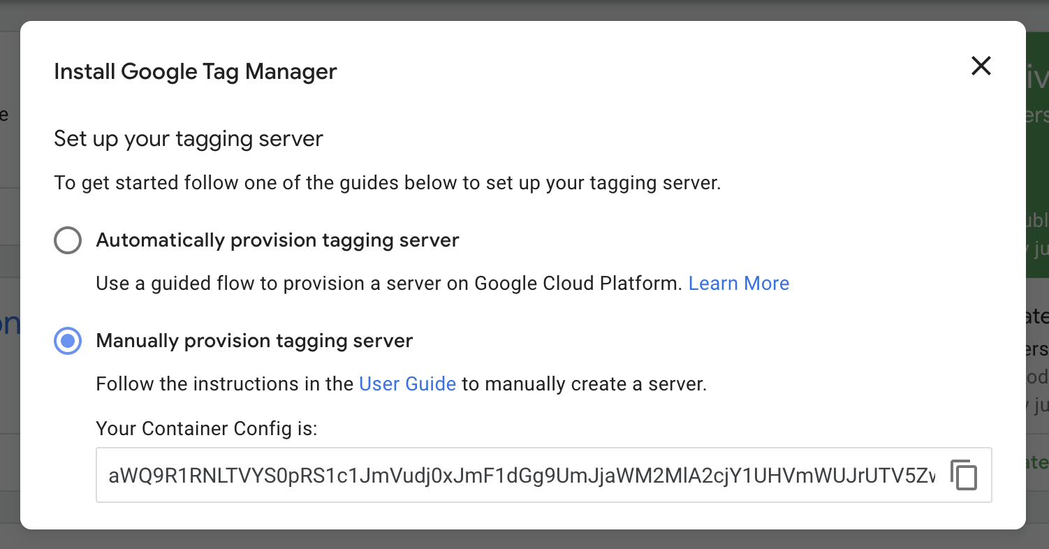 Manually provision tagging server